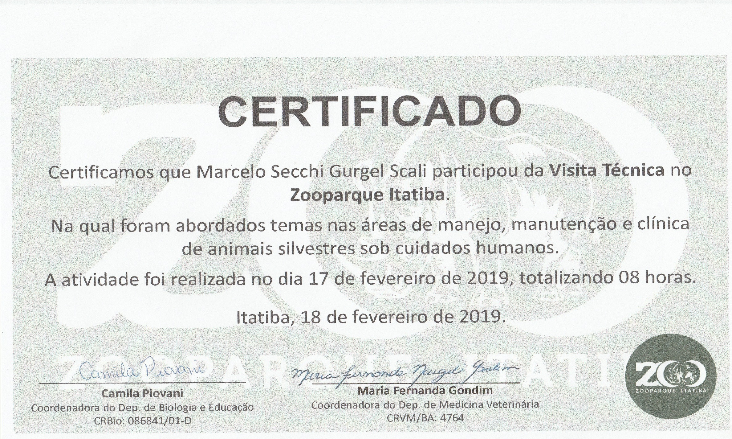 Certificado 16 - Cão Relax